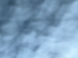 Meet your Posher, Tamia